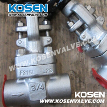 Forged Stainless Steel Globe Valves